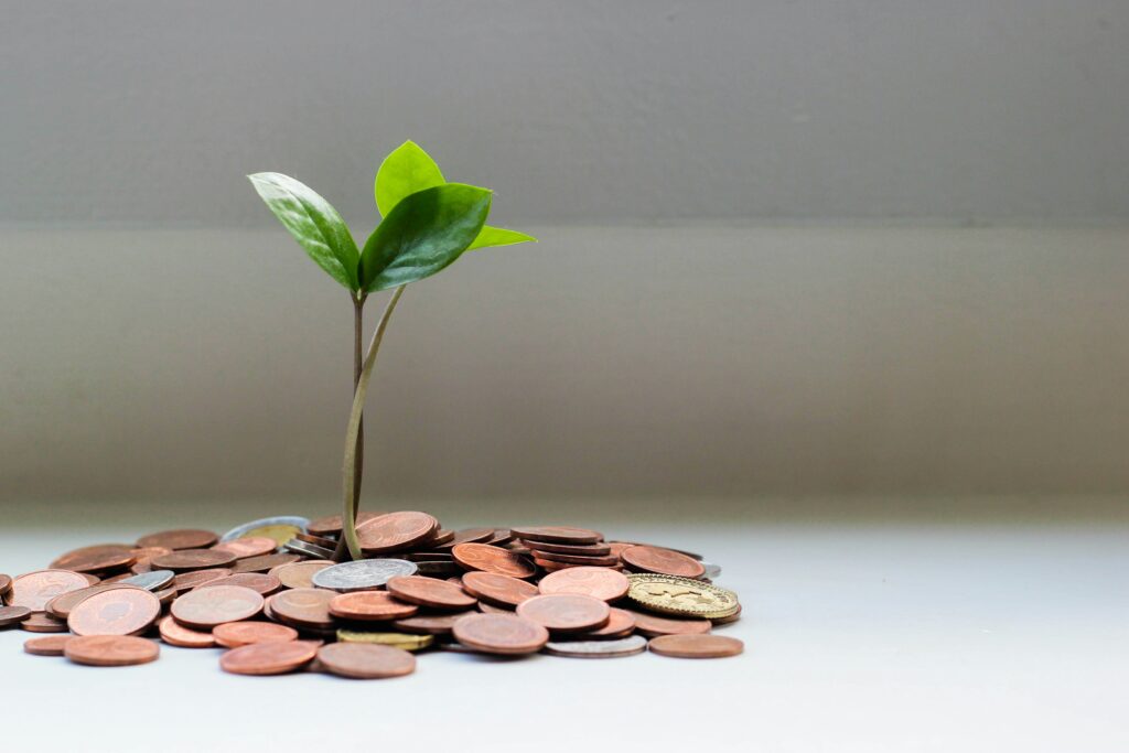 Oferuję swoją pomoc w zakresie finansów w czasach kryzysu